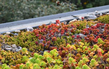 the cost of Wattisham Stone green roof installation