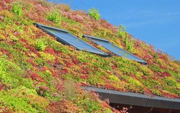 Wattisham Stone living roof systems